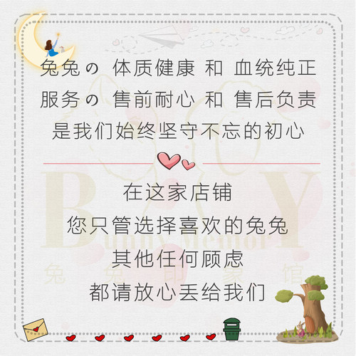 《全国可运》进口纯种二代双血荷兰侏儒兔垂耳兔小型宠物兔子活体 - 图3