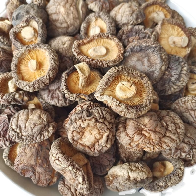 高原香菇干货 云南山珍美食用农产品肉厚浓郁非特级菇味浓新货,淘宝优惠券,粉丝福利购,淘宝优惠卷