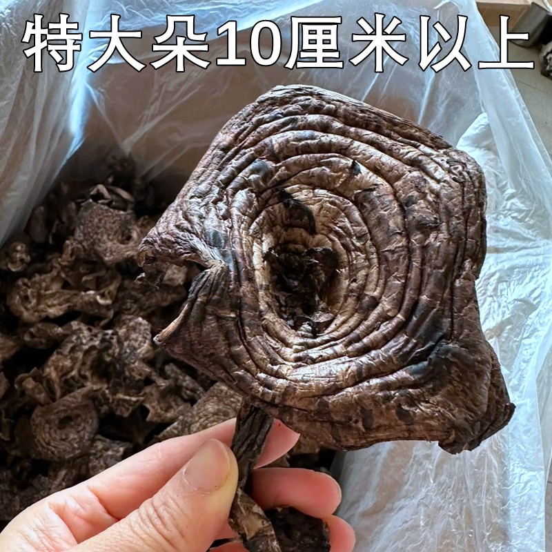 野生黑虎掌菌干货非新鲜山珍美食异香浓郁味道鲜美稀有云南菌子,淘宝优惠券,粉丝福利购,淘宝优惠卷