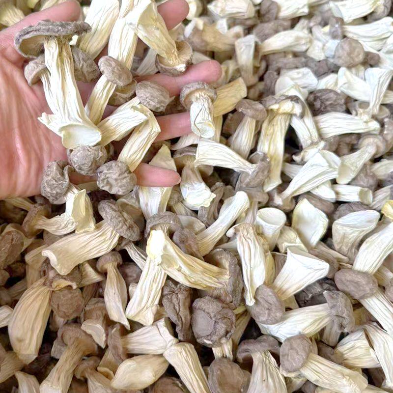 长寿菇干货 非新鲜香菇云南菌菇山珍美食农产品云南野生菌菇滋补,淘宝优惠券,粉丝福利购,淘宝优惠卷