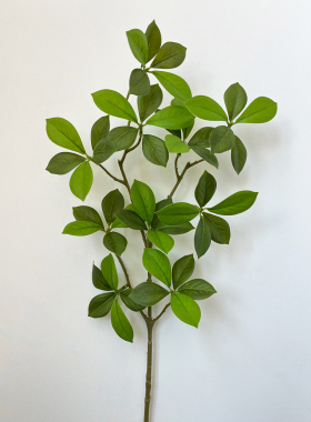 仿真绿植马醉木发财树假植物摆设