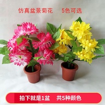 Emulated silk bonsai flower bonsai daisy clear