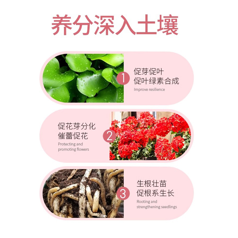 正品植聚能开花粉种桂花养绿植专用家庭园艺盆栽通用营养土壤肥料 - 图2