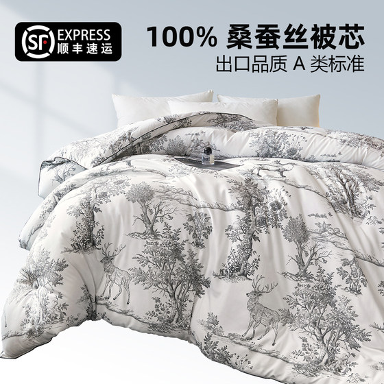 Silk Quilt 100 Mulberry Silk Spring and Autumn Quilt Universal for Four Seasons