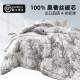 Silk Quilt 100 Mulberry Silk Spring and Autumn Quilt Universal for Four Seasons