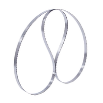 Article 10 Dress Japan High Quality Food Processing Frozen Meat Frozen Bone Quick Cut Meat Saw Blade Stainless Steel Machine With Band Saw Strips