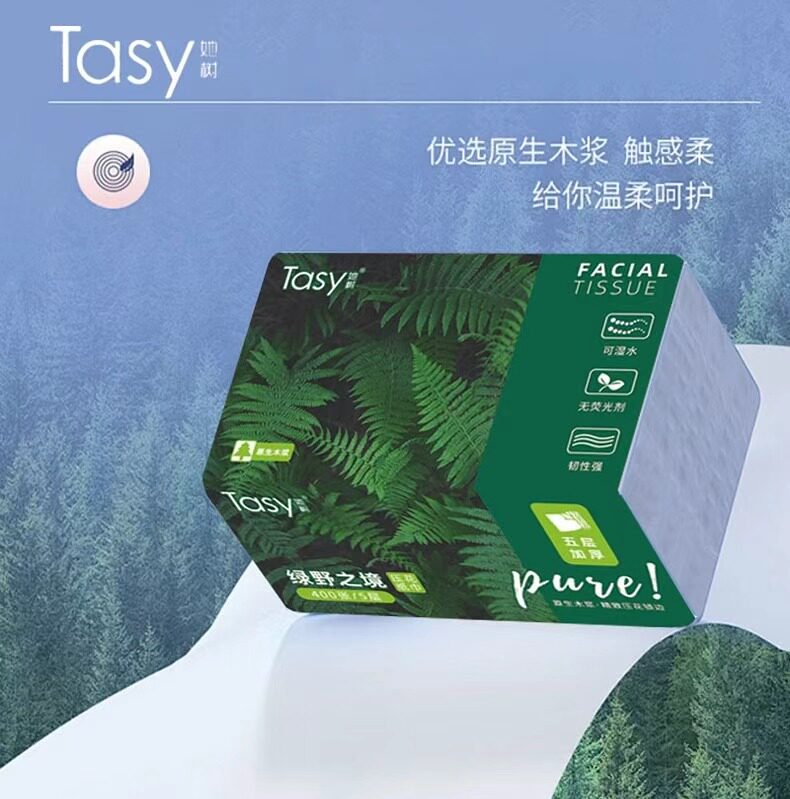 Tasy她树 礼盒装绿野之境抽纸 整箱40包