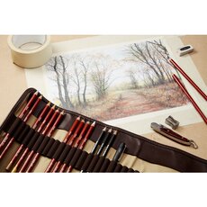 Ручка 进口derwent drawing英国得韵动物绘画彩铅 自然色铅笔 单支/套装