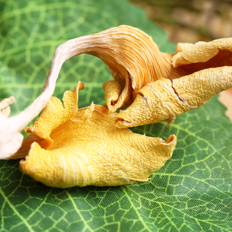 野生菌谷鸡油菌干货500g黄丝菌云南特产榆黄磨黄香菇煲汤食材包邮-图0