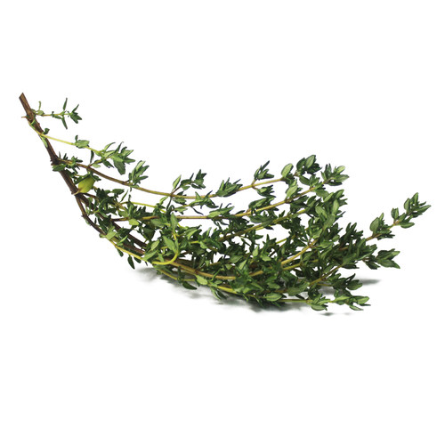 新鲜香料 西餐香料 新鲜百里香Thyme 百里香香叶 250g - 图0