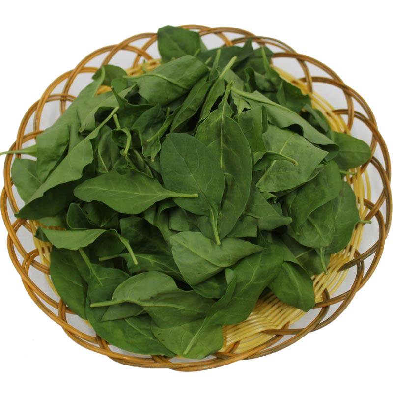 新鲜枸杞叶菜野菜枸杞嫩芽全叶子食用蔬菜 500g_虎窝淘