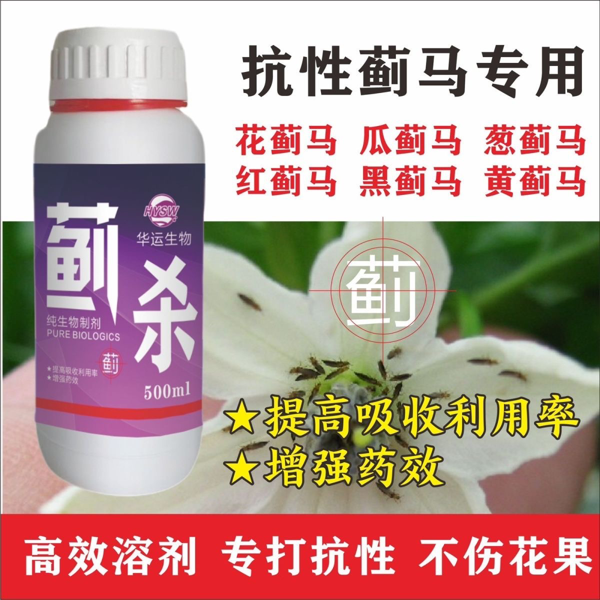 蓟杀蔬菜果树专用抗性果树速溶蓟马青虫蚜虫白粉豆角草莓螨虫茄子 - 图1