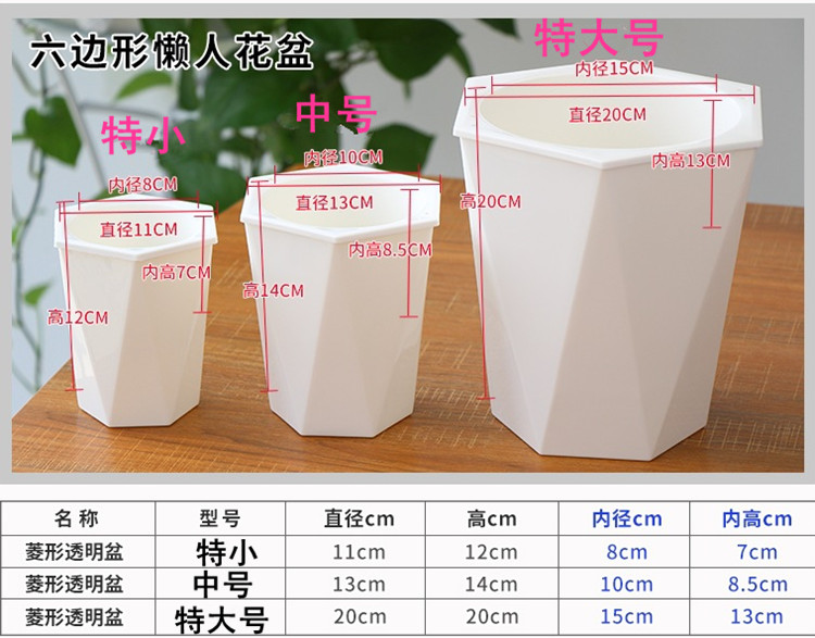 菱形大号全透明PP树脂塑料多肉绿萝懒人花盆自动吸水送棉绳包邮-图1