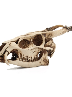 立体山羊头骨酒吧派对动物摆件