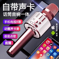 Mic Acoustics Integrated Microphone for All TV K Song Home Wireless Bluetooth Phone Karok Bring your own sound card