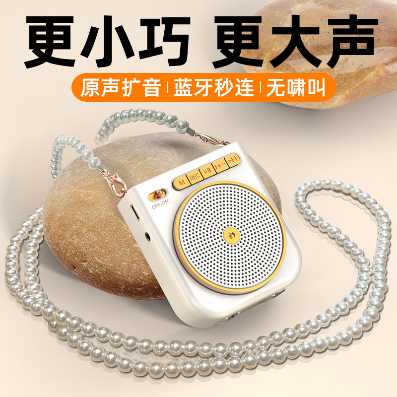  乐美佳影音扩音器