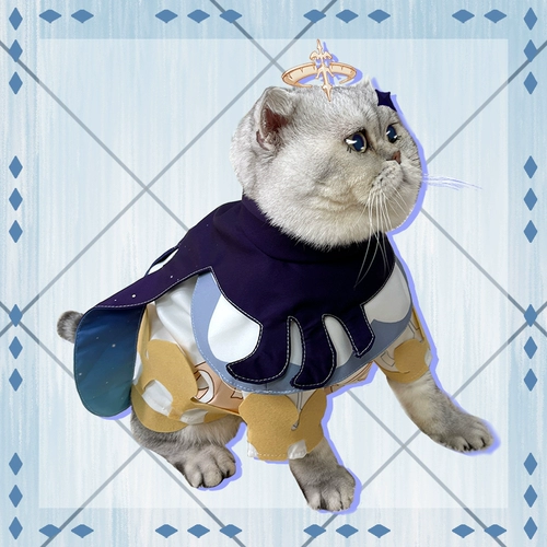 Оригинальный God Cose Pets Pets одежда для домашних животных милая игра для кошек.