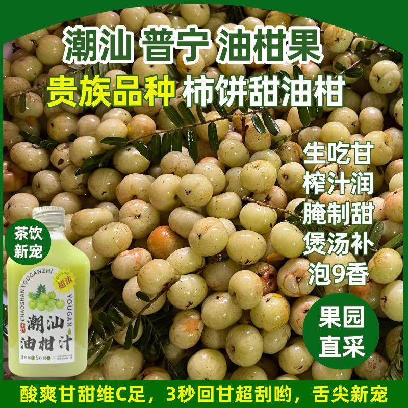 正宗潮州柿饼甜油甘新鲜油甘果余甘牛甘鲜果孕妇水果滇橄榄崩砍,淘宝优惠券,粉丝福利购,淘宝优惠卷