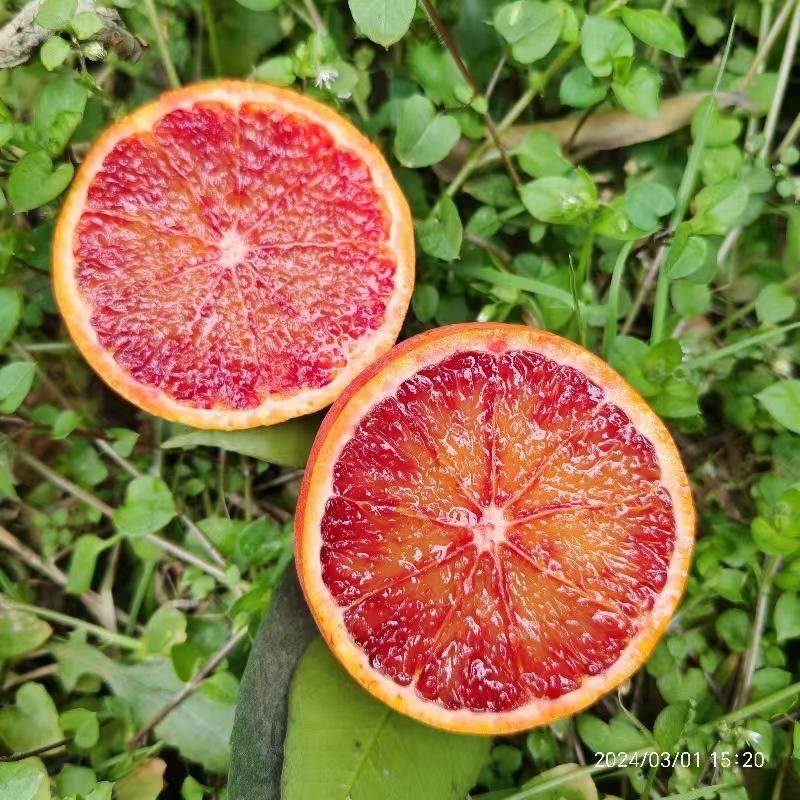 四川资中塔罗科血橙新鲜水果雪橙当季超甜红心橙非中华红橙秭归橙,淘宝优惠券,粉丝福利购,淘宝优惠卷