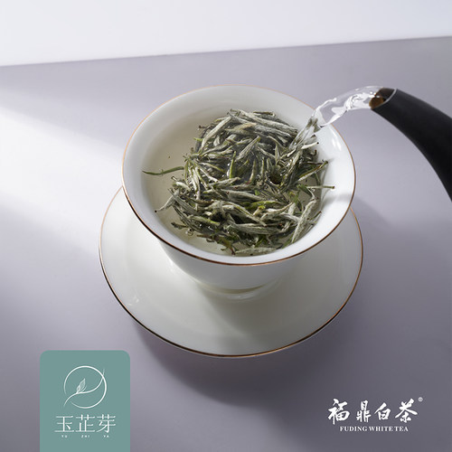 玉芷芽白茶2020年白毫银针一斤装 印象磻溪·白毫银针·福鼎白茶 - 图1