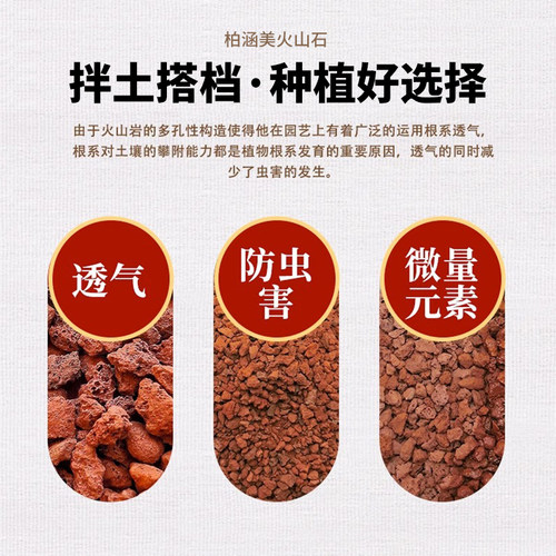 天然火山石颗粒铺面石园艺植料多肉土鱼缸养鱼乌龟造景底沙火山岩 - 图1
