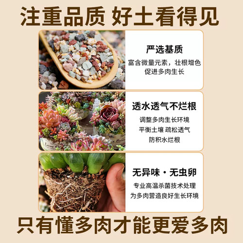 船长多肉彩虹石纯颗粒土营养土壤火山麦饭石多肉栽培土专用铺面石 - 图0
