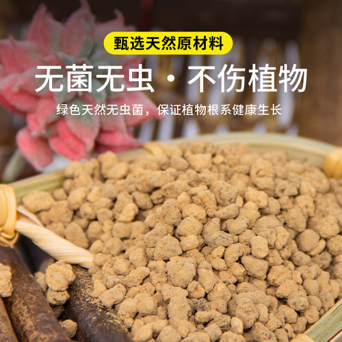 赤玉土三本线日本进口正品多肉颗粒土盆景专用爬宠铺面硬质营养土 - 图1