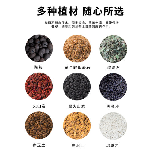多肉营养土铺面石纯颗粒鹿沼赤玉土火山蛭石麦饭石通用垫底陶粒 - 图1