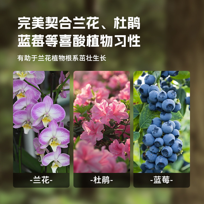 松树皮发酵腐熟松鳞垫材蝴蝶兰石斛兰专用颗粒蓝莓种植基质兰花土,淘宝优惠券,粉丝福利购,淘宝优惠卷