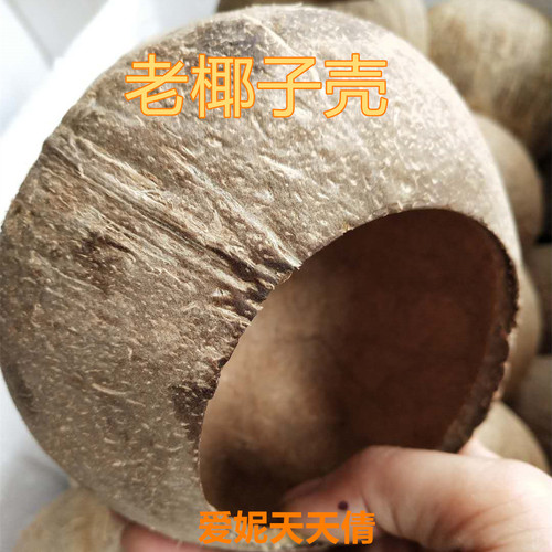 老椰子壳天然椰壳开口吊篮多肉盆种植花盆植物盆工艺品2个起包邮