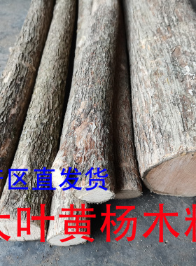 雕刻料木雕大叶黄杨木料