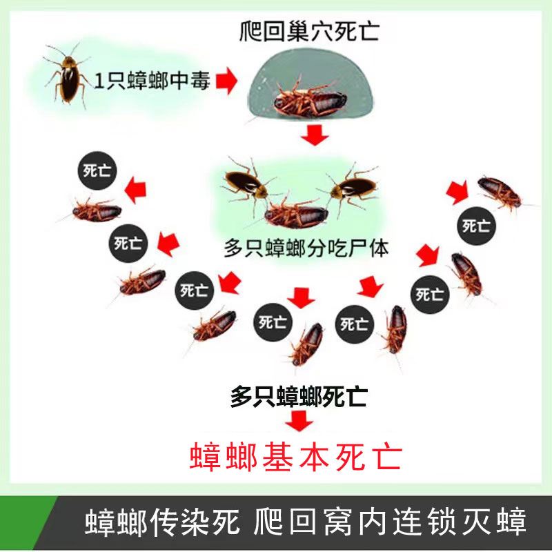 灭蟑螂药克星一窝全窝扫净绝杀端除神器厨房家用强力喷雾剂非无毒 - 图2