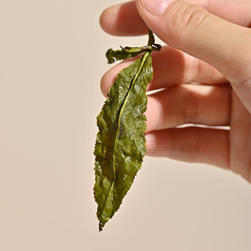 正宗进口台湾阿里山高山茶 特级金萱奶香味乌龙茶 新茶叶礼盒装