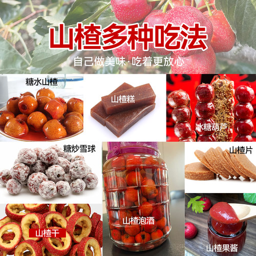 新鲜山楂鲜果大五棱糖雪球糖葫芦专用10斤批发山里甜红子当季现摘 - 图3