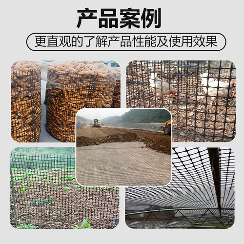 塑料网格养鸡鸭网玉米户外围栏网栅栏家用防护网加厚隔离网护栏网 - 图3