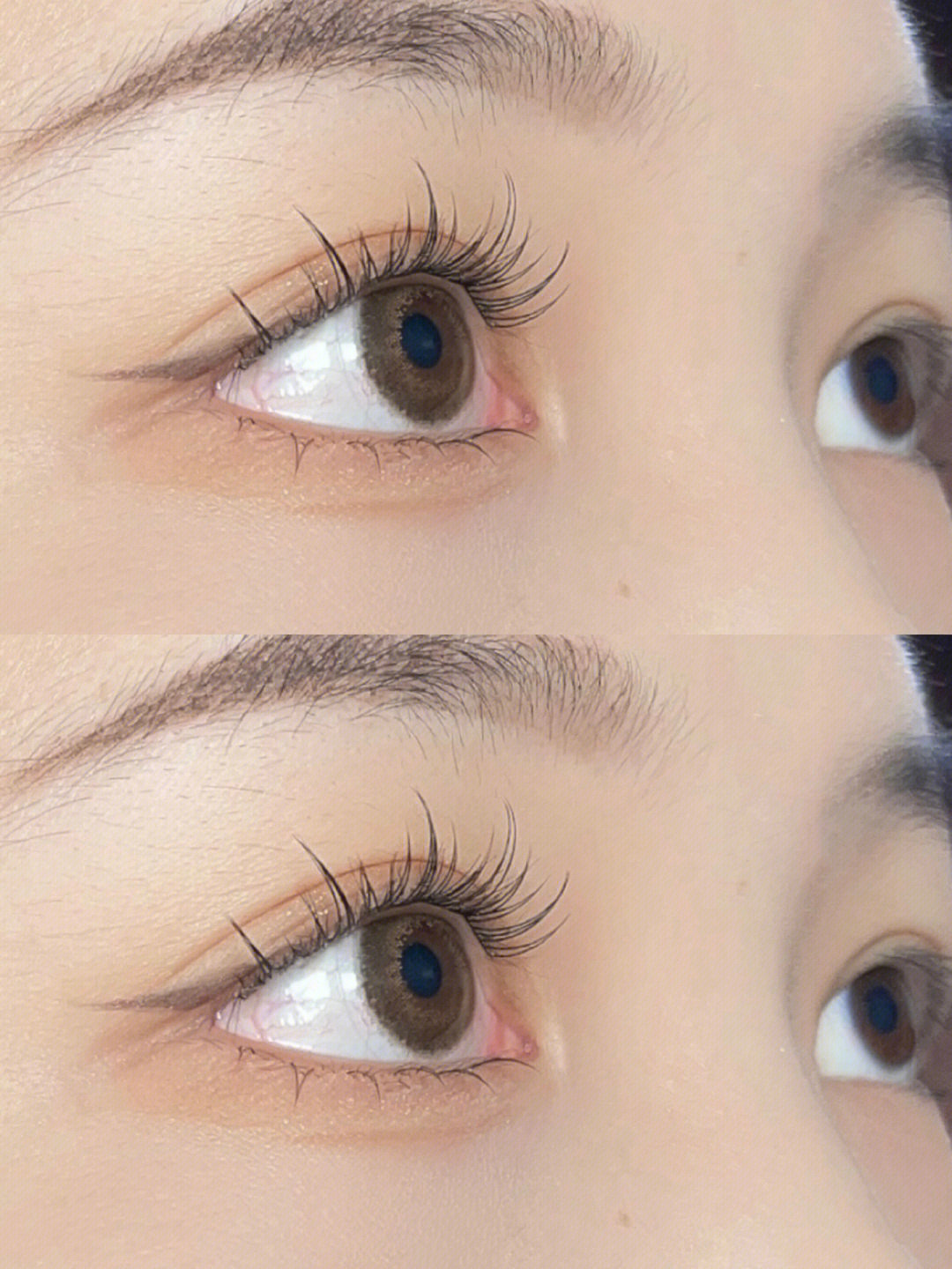 lodo洛兜睫毛书假睫毛女自然仿真大容量A型懒人三部曲分段眼睫毛 - 图1