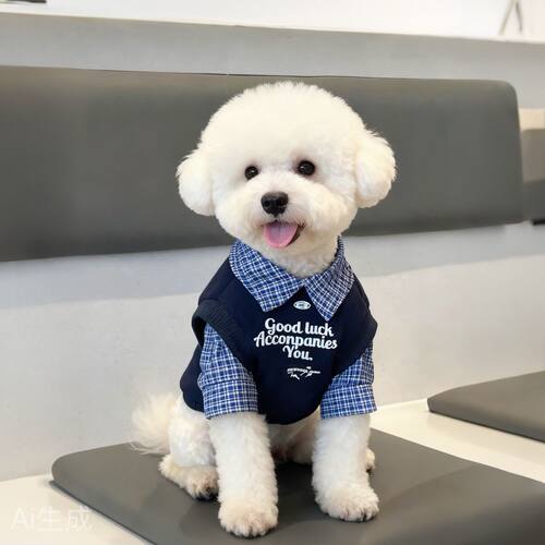 小狗衣服假两件拼色Polo衫宠物秋冬雪纳瑞比熊泰迪中小型犬两脚衣 - 图1