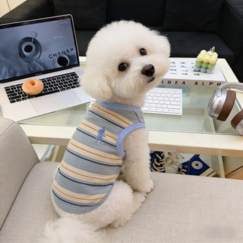 宠物新款夏季圆领狗狗背心雪纳瑞泰迪比熊小狗薄款西高地中小犬潮 - 图2