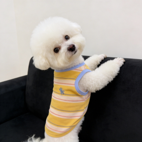 宠物新款夏季圆领狗狗背心雪纳瑞泰迪比熊小狗薄款西高地中小犬潮 - 图1