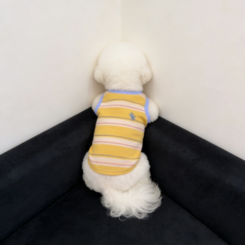宠物新款夏季圆领狗狗背心雪纳瑞泰迪比熊小狗薄款西高地中小犬潮 - 图0