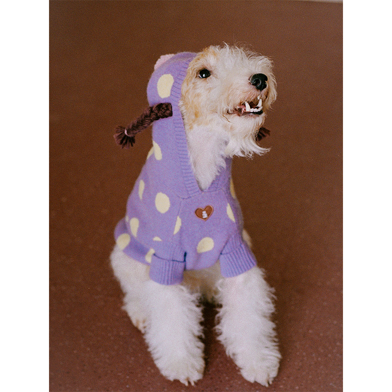 Tagi.小辫子刺绣复古波点秋冬保暖连帽狗狗针织毛衣宠物衣服 - 图0