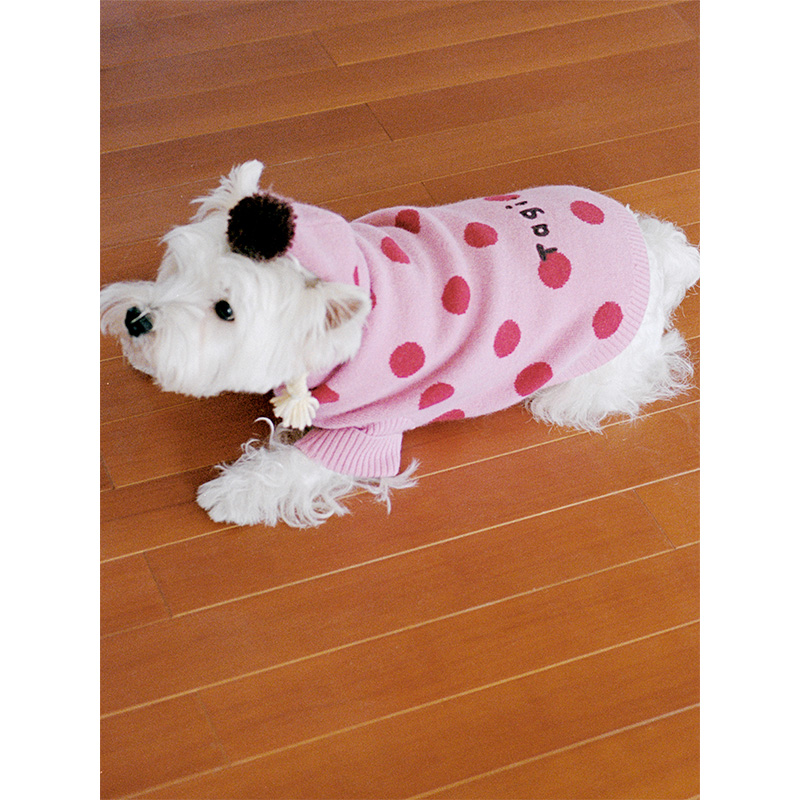 Tagi.小辫子刺绣复古波点秋冬保暖连帽狗狗针织毛衣宠物衣服 - 图2
