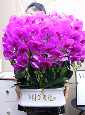 特大号仿真花高档手感蝴蝶兰家居客厅装饰花电视柜玄关茶几花艺