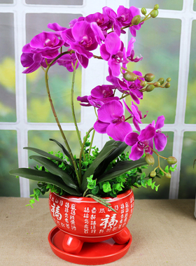 仿真花蝴蝶兰红色陶瓷花盆室内客厅绢花摆设婚庆新房装饰送礼花艺