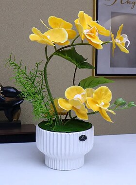 仿真花高档保湿手感蝴蝶兰客厅酒柜假花鞋柜茶几冰箱电视柜摆设花