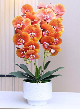 仿真花高档保湿手感蝴蝶兰轻奢家居装饰电视柜茶几餐厅假花摆设