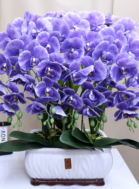 仿真花高档保湿手感蝴蝶兰家居客厅装饰花电视柜玄关茶几假花摆设