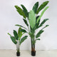 Simulated traveler banana potted indoor green plants for landscaping decoration