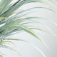 Simulated orchid tree green plant potted plant artificial tree ornaments