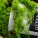 Simulated moss turf landscaping fake moss lawn